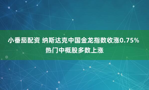小番茄配资 纳斯达克中国金龙指数收涨0.75% 热门中概股多数上涨