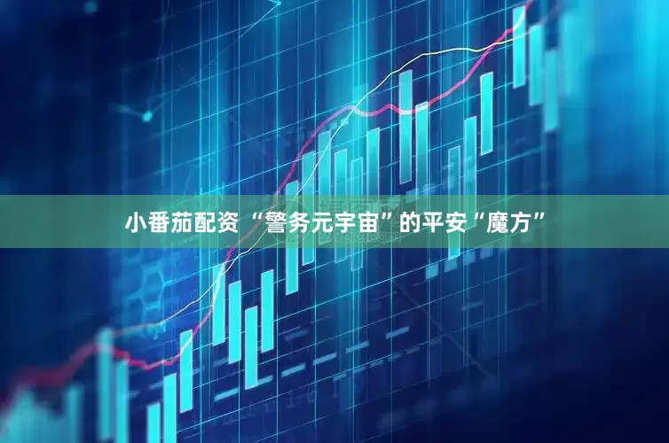 小番茄配资 “警务元宇宙”的平安“魔方”