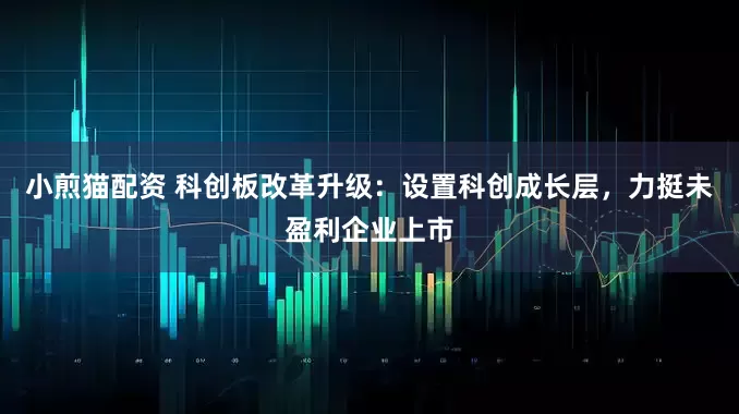 小煎猫配资 科创板改革升级：设置科创成长层，力挺未盈利企业上市
