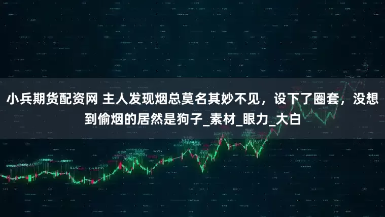 小兵期货配资网 主人发现烟总莫名其妙不见，设下了圈套，没想到偷烟的居然是狗子_素材_眼力_大白
