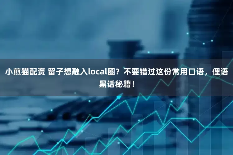 小煎猫配资 留子想融入local圈？不要错过这份常用口语，俚语黑话秘籍！