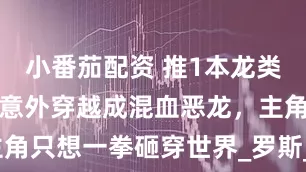 小番茄配资 推1本龙类主角小说：意外穿越成混血恶龙，主角只想一拳砸穿世界_罗斯_进化_锻炼